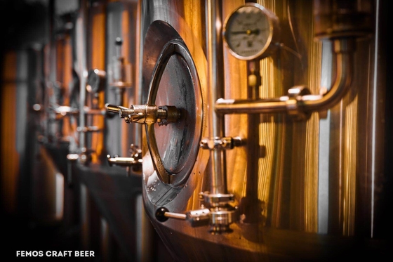 Sistemas pequenos da fabricação de cerveja de cerveja do equipamento da fabricação de cerveja do Microbrewery de SS304/SS316l