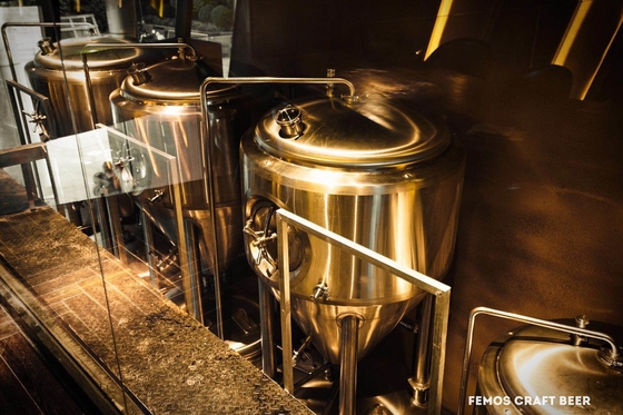 Sistemas pequenos da fabricação de cerveja de cerveja do equipamento da fabricação de cerveja do Microbrewery de SS304/SS316l