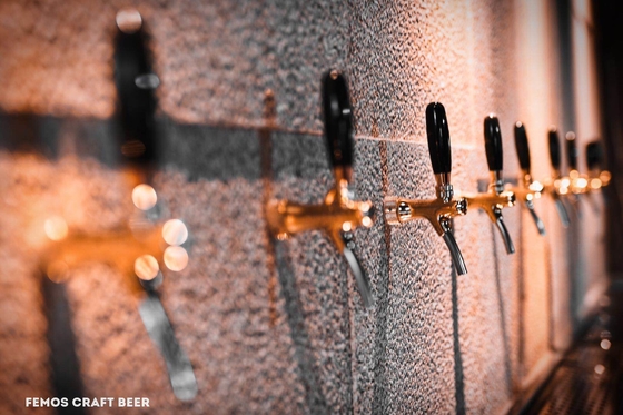 Projete a planta home da cervejaria do equipamento da fabricação de cerveja de cerveja para a fatura da cerveja de Walt