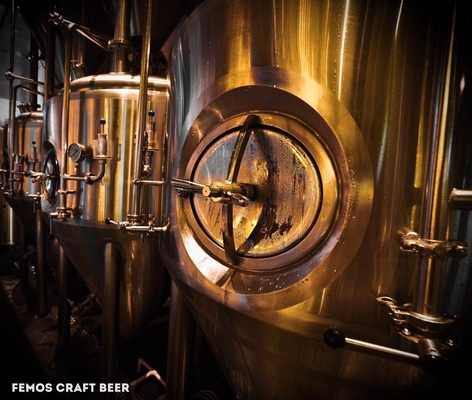 Projete a planta home da cervejaria do equipamento da fabricação de cerveja de cerveja para a fatura da cerveja de Walt