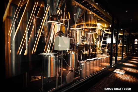 Projete a planta home da cervejaria do equipamento da fabricação de cerveja de cerveja para a fatura da cerveja de Walt