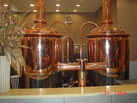 mini micro certificação do CE do sistema da fabricação de cerveja do Turnkey do equipamento da cervejaria 500L