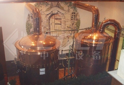 mini micro certificação do CE do sistema da fabricação de cerveja do Turnkey do equipamento da cervejaria 500L