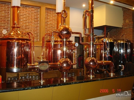 mini micro certificação do CE do sistema da fabricação de cerveja do Turnkey do equipamento da cervejaria 500L