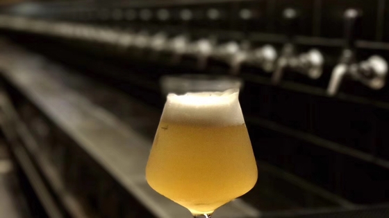 Fase monofásica de aquecimento de vapor do equipamento da fabricação de cerveja de cerveja do ofício do bar ou fase 3