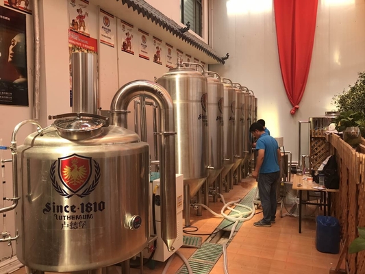 Sistema da cervejaria de Brewpub do equipamento home básico da fabricação de cerveja de cerveja da pequena escala mini