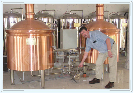 Material de cobre vermelho do equipamento pequeno industrial da cervejaria da cerveja do tanque de fermentação