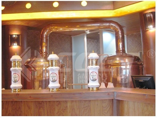 jogo home da fabricação de cerveja de cerveja do equipamento vermelho da fabricação de cerveja do cobre 500L garantia de 1 ano