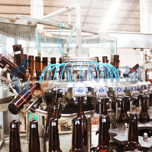 Linha de engarrafamento AC220V ou AC380V da cerveja da máquina de enchimento da cerveja do certificado do CE