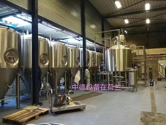 Equipamento 100L de aço inoxidável 200L 300L do Microbrewery do aquecimento de vapor pelo grupo
