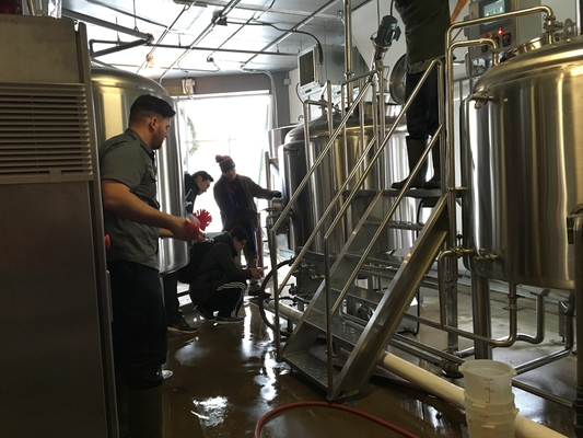 tipo do vertical dos sistemas de Brewpub do Turnkey do equipamento do Microbrewery de 500L 1000L SS304