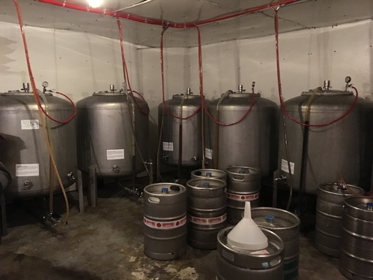 tipo do vertical dos sistemas de Brewpub do Turnkey do equipamento do Microbrewery de 500L 1000L SS304
