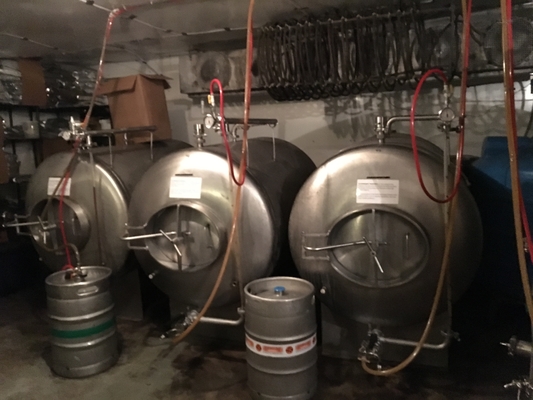 tipo do vertical dos sistemas de Brewpub do Turnkey do equipamento do Microbrewery de 500L 1000L SS304