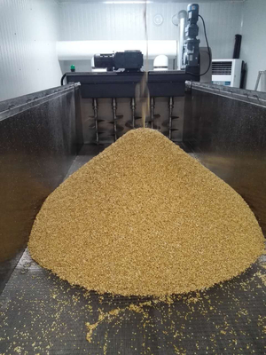 Linha de produção da embalagem da maltagem com embeber o tanque, germinando estufando a caixa