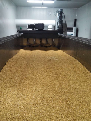 Linha de produção da embalagem da maltagem com embeber o tanque, germinando estufando a caixa