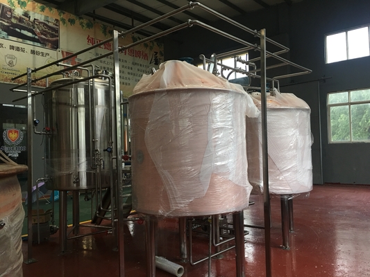 Fermentador de aço inoxidável pequeno dos tanques de fermentação do sistema 10Hl da fabricação de cerveja de cerveja da capacidade