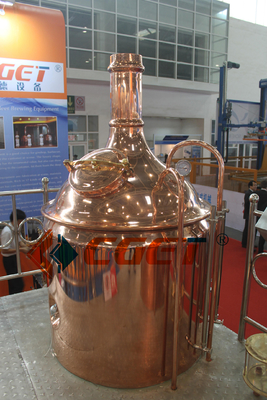 Sistema da fabricação de cerveja do equipamento 500L da fabricação de cerveja de cerveja do ofício do SUS 304 com o CE do ISO habilitado para Rusina