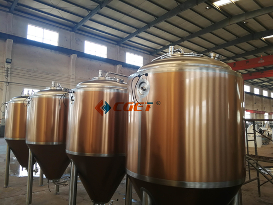 Sistema da fabricação de cerveja do equipamento 500L da fabricação de cerveja de cerveja do ofício do SUS 304 com o CE do ISO habilitado para Rusina