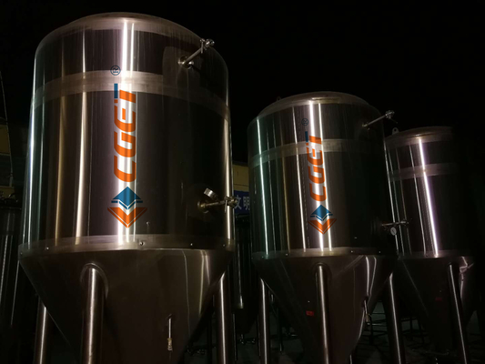 equipamento da fabricação de cerveja da grande escala 3000L 304 bombas sanitárias