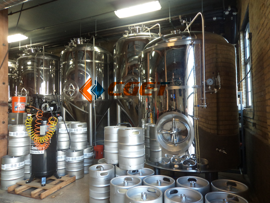 equipamento da fabricação de cerveja da grande escala 3000L 304 bombas sanitárias
